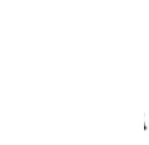 BEAVER